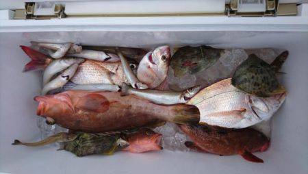 オーフリー 釣果