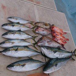 旭星釣りセンター 釣果