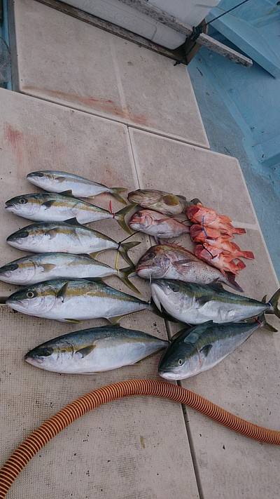 旭星釣りセンター 釣果