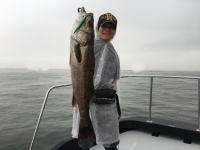 オーシャンマスター 釣果