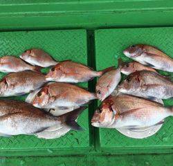 利弥丸（としやまる） 釣果