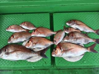 利弥丸（としやまる） 釣果