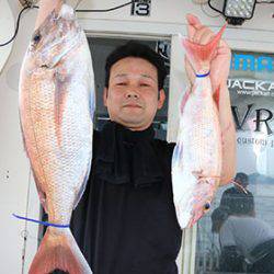 松本釣船２ 釣果