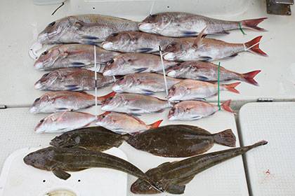 松本釣船２ 釣果