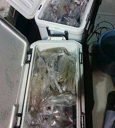 海龍丸(福岡) 釣果