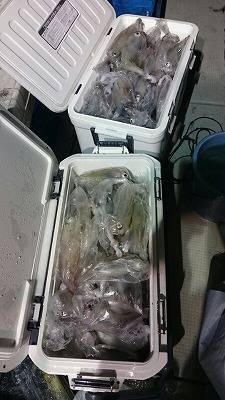 海龍丸(福岡) 釣果