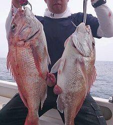 海龍丸(福岡) 釣果