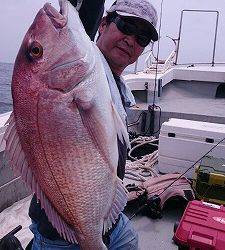 海龍丸(福岡) 釣果