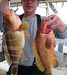 海龍丸(福岡) 釣果
