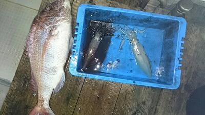 海龍丸(福岡) 釣果