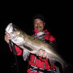 ルアー船マヒマヒ 釣果