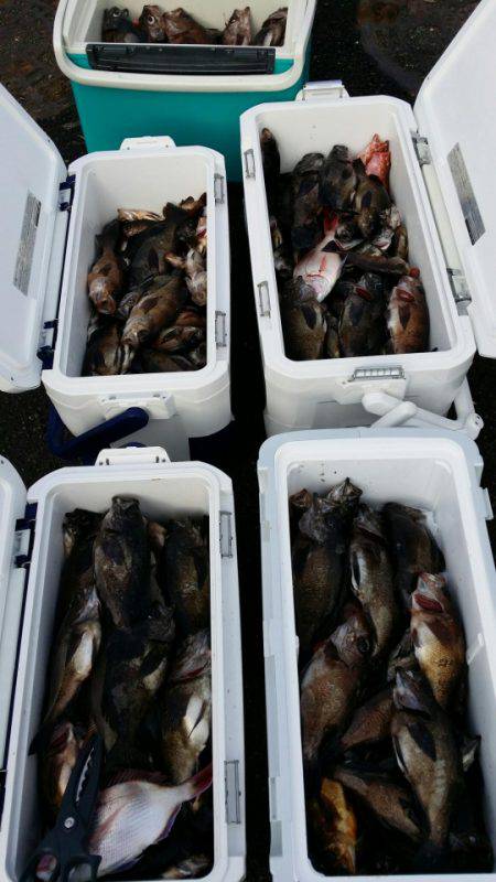 オーフリー 釣果