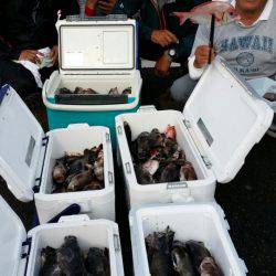 オーフリー 釣果