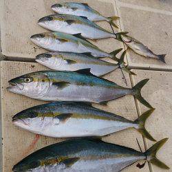 旭星釣りセンター 釣果