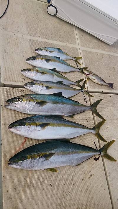 旭星釣りセンター 釣果