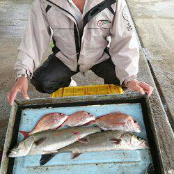 明神釣船 釣果