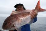 茂吉丸 釣果