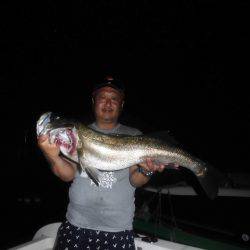 ルアー船マヒマヒ 釣果