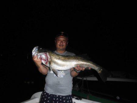 ルアー船マヒマヒ 釣果