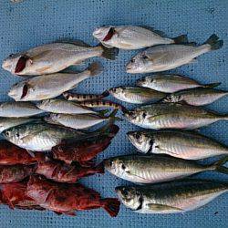 第二常豊丸 釣果