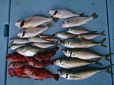 第二常豊丸 釣果