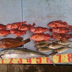 第二常豊丸 釣果