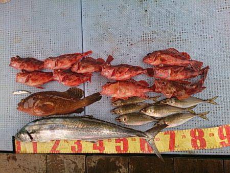 第二常豊丸 釣果