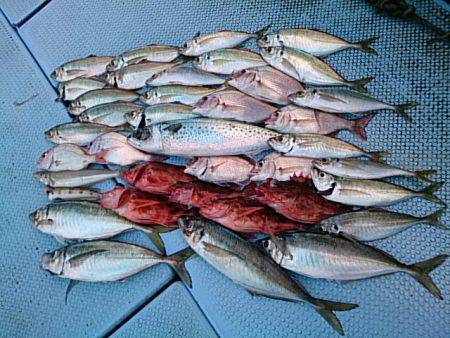 第二常豊丸 釣果