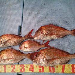 第二常豊丸 釣果