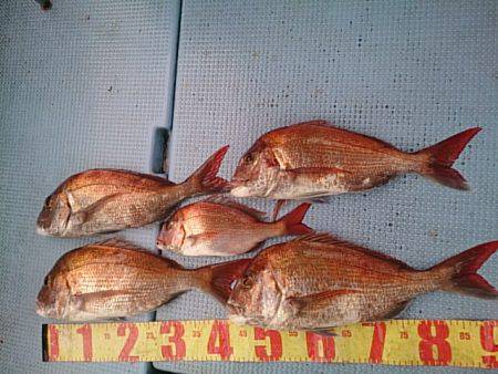 第二常豊丸 釣果