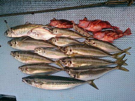 第二常豊丸 釣果