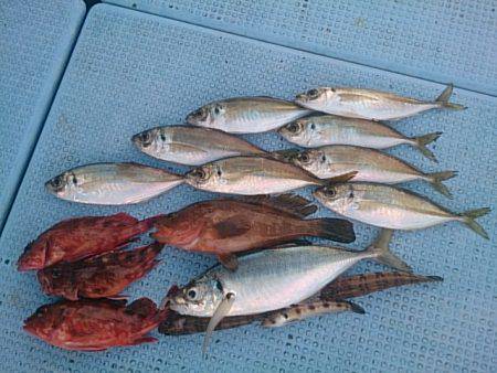 第二常豊丸 釣果