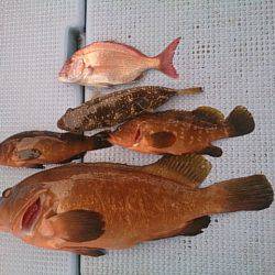 第二常豊丸 釣果