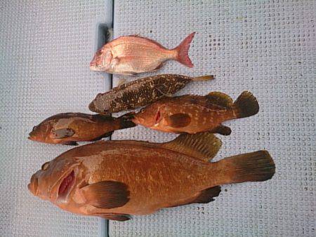 第二常豊丸 釣果