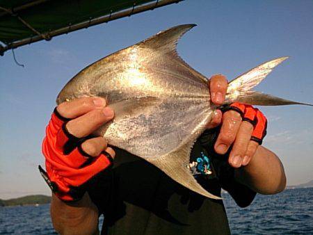 第二常豊丸 釣果