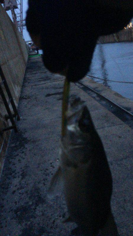 まだまだバチ抜け