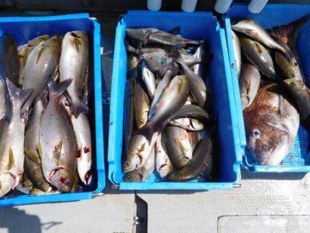 第二一之紀丸（ダイニイチノキマル） 釣果