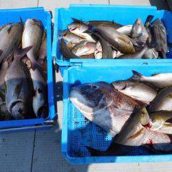 第二一之紀丸（ダイニイチノキマル） 釣果