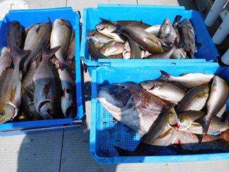 第二一之紀丸（ダイニイチノキマル） 釣果