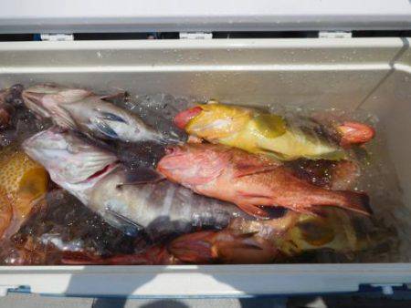 第二一之紀丸（ダイニイチノキマル） 釣果