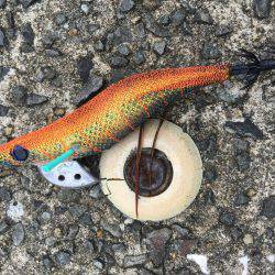 改造！エギテスト。