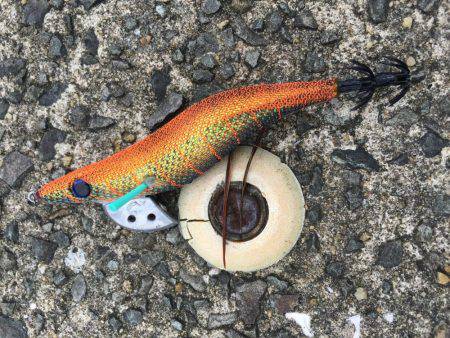 改造！エギテスト。