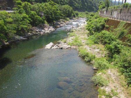狩野川(狩野川漁業協同組合) 釣果