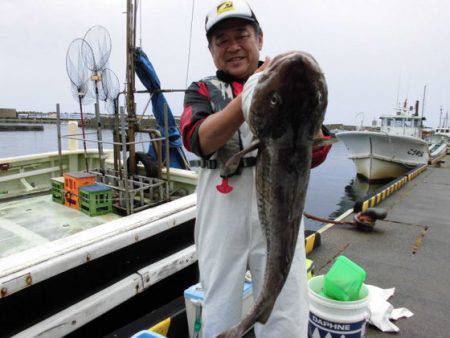 大進丸（新潟） 釣果