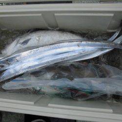 大進丸(新潟) 釣果