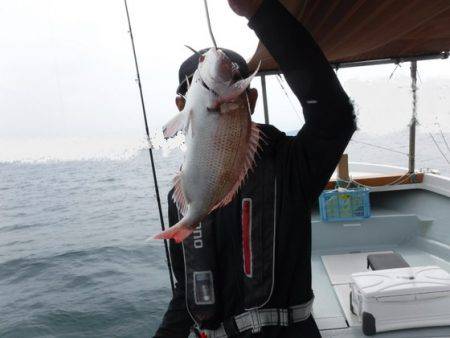 遊漁船 幸友丸 釣果