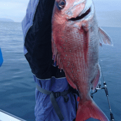 遊漁船ブルーウッズ 釣果