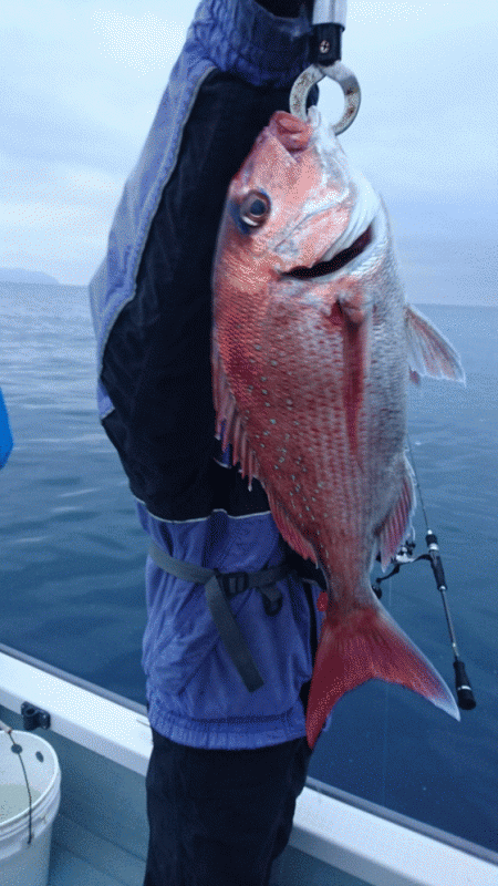 遊漁船ブルーウッズ 釣果