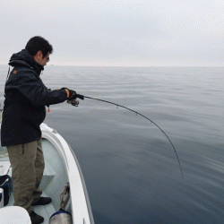 遊漁船ブルーウッズ 釣果