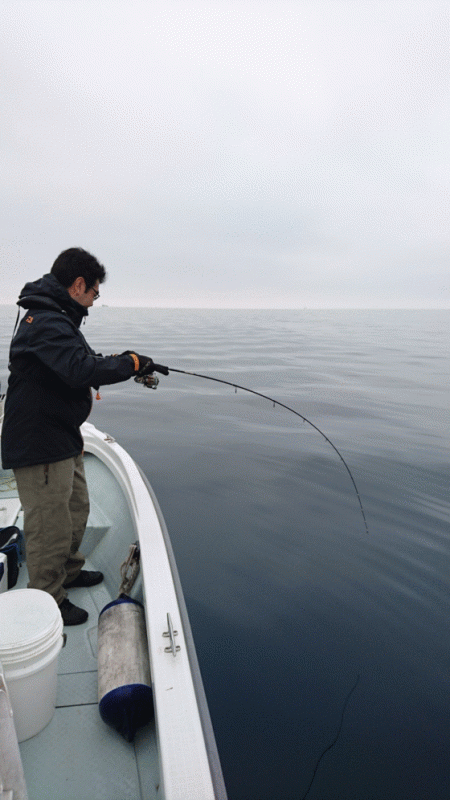 遊漁船ブルーウッズ 釣果